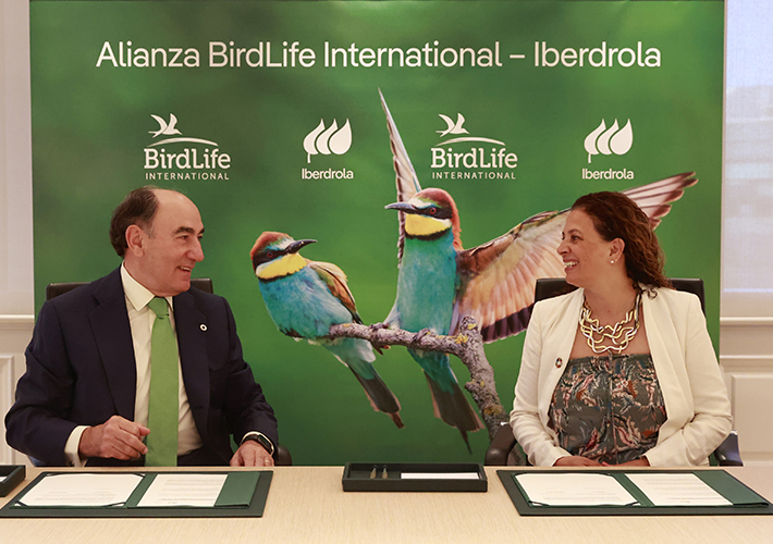 foto noticia Iberdrola y Birdlife International firman una alianza para proteger la biodiversidad.
